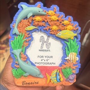 3D Dolphin Coral Reef Fish 4”x6” Picture Frame